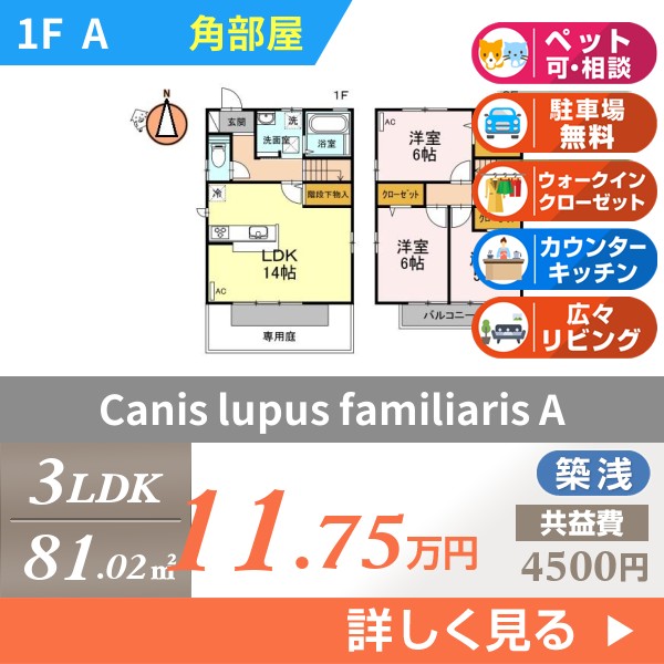 Canis lupus familiaris a