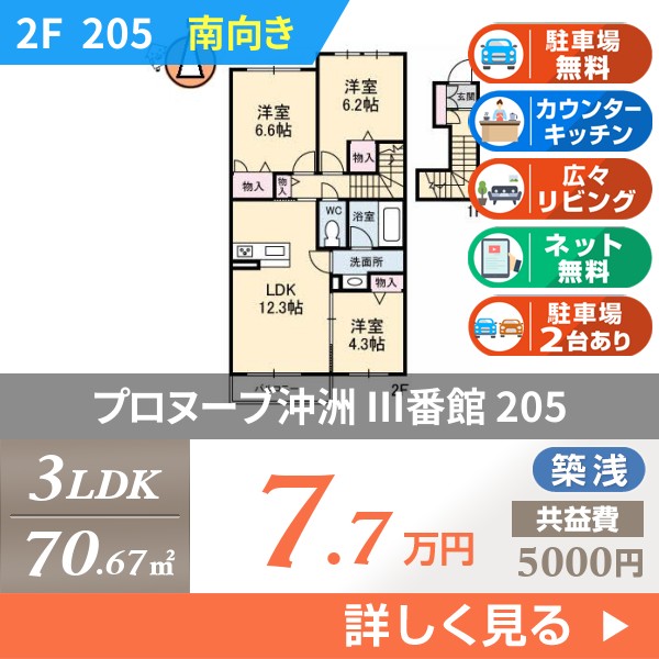 プロヌーブ沖洲 III番館 205