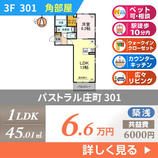 パストラル庄町 301