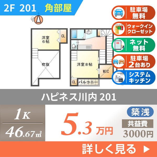 ハピネス川内 201