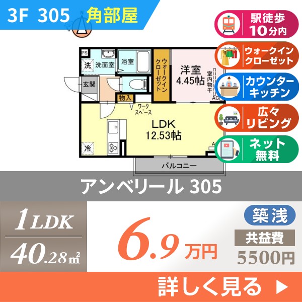 アンベリール 305