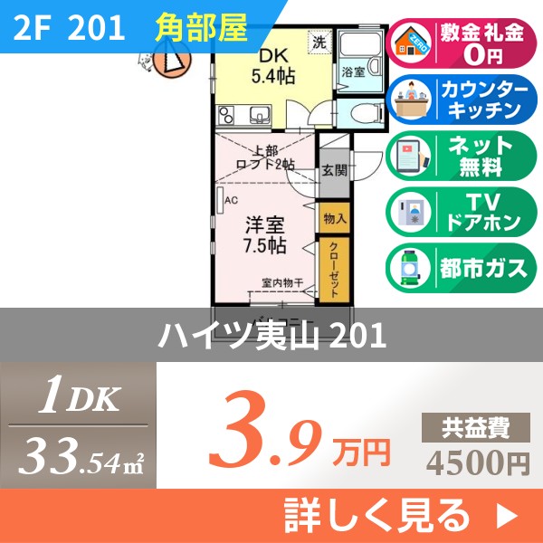 ハイツ夷山 201