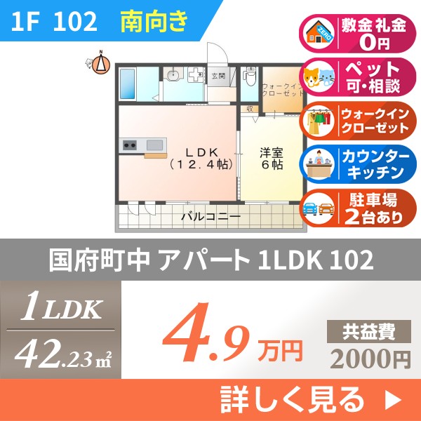 国府町中 2階建アパート 2015年築 102