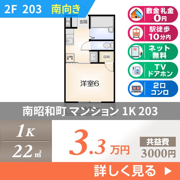 南昭和町 4階建マンション 1988年築 203