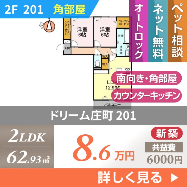 ドリーム庄町 201