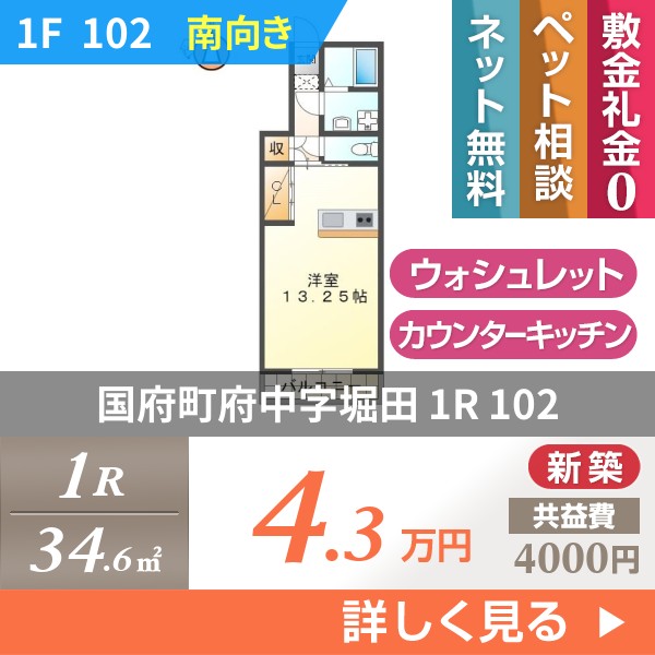 国府町府中字堀田 アパート 1R 102