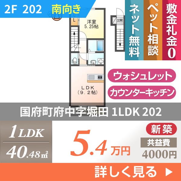 国府町府中字堀田 アパート 1LDK 202
