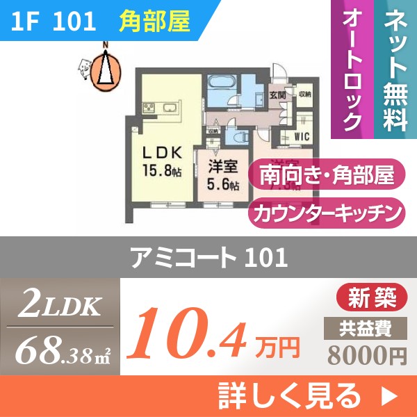 アミコート 101