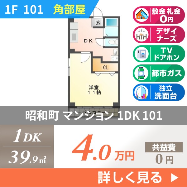 昭和町 3階建マンション 1994年築 101