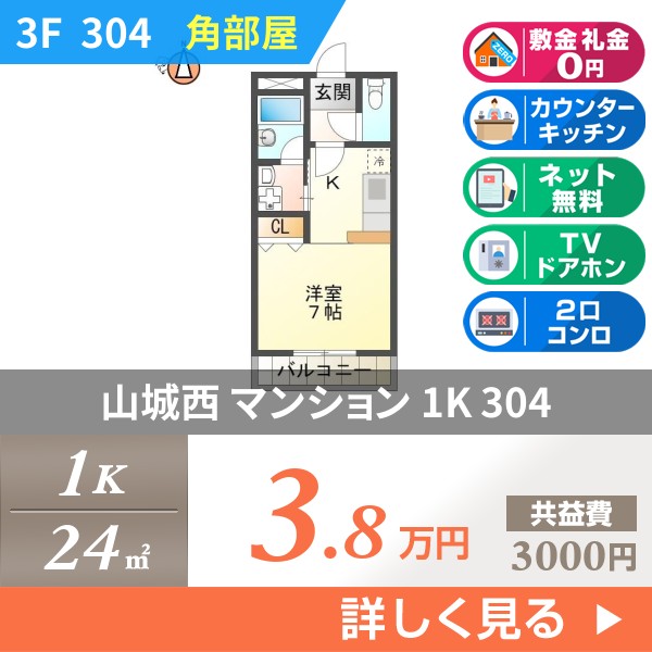 山城西 3階建マンション 1989年築 304