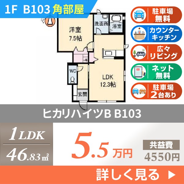 ヒカリハイツB b103