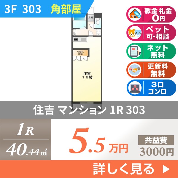 住吉 3階建マンション 2008年築 303