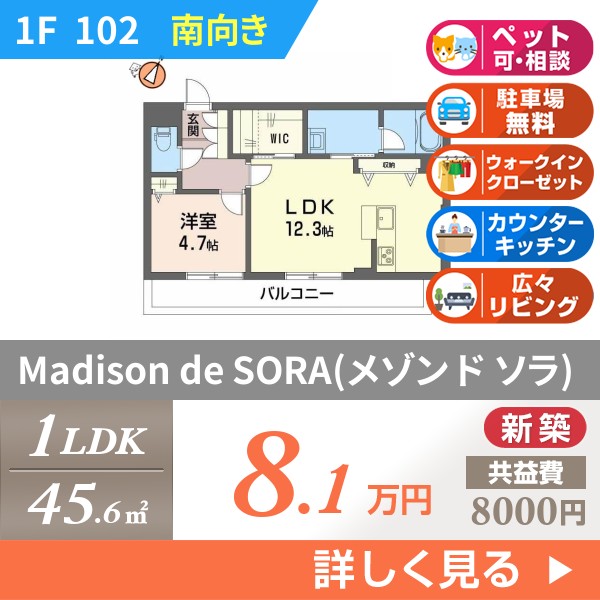 Madison de SORA（メゾン ド ソラ） 102