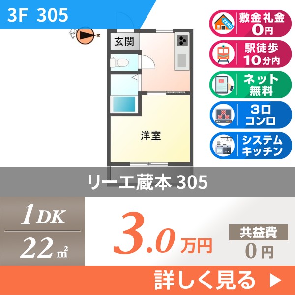 リーエ蔵本 305