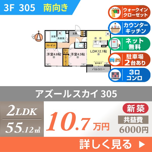 アズールスカイ 305
