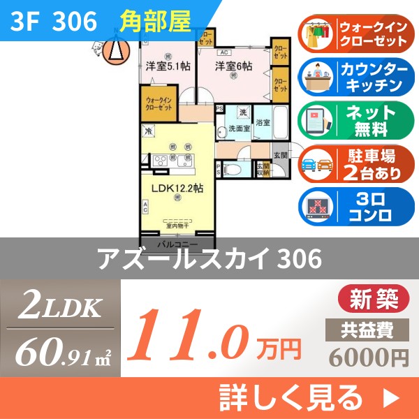 アズールスカイ 306