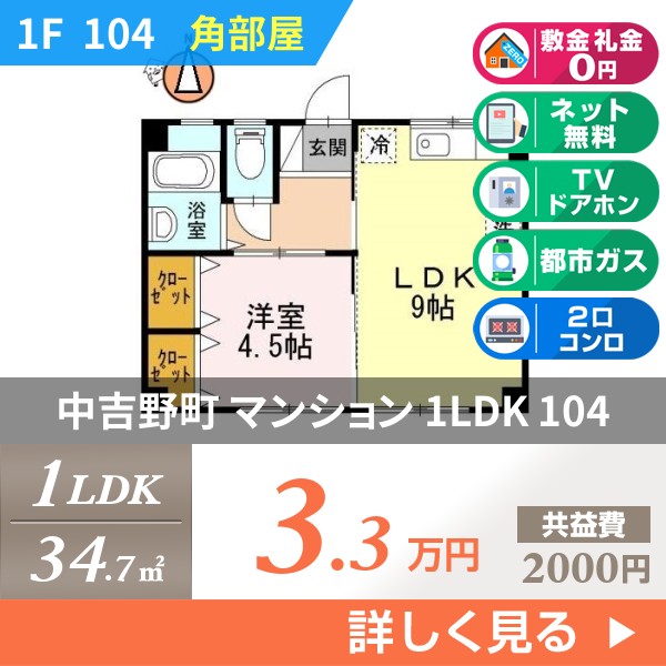 中吉野町 3階建マンション 1972年築 104