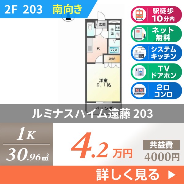ルミナスハイム遠藤 203