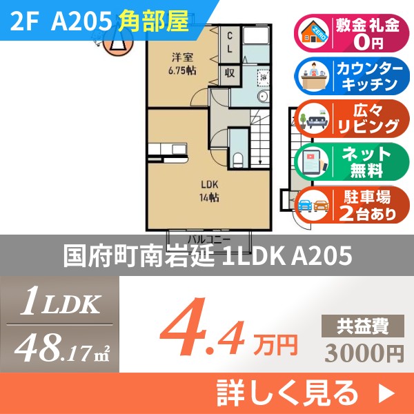 国府町南岩延 2階建アパート 2007年築 a205