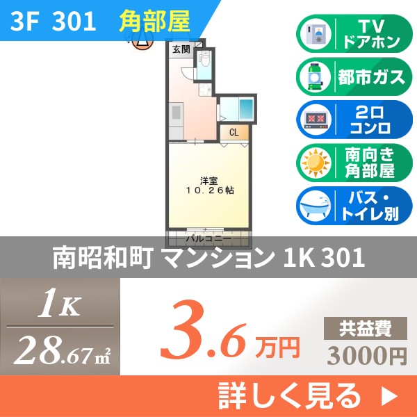 南昭和町 4階建マンション 1996年築 301