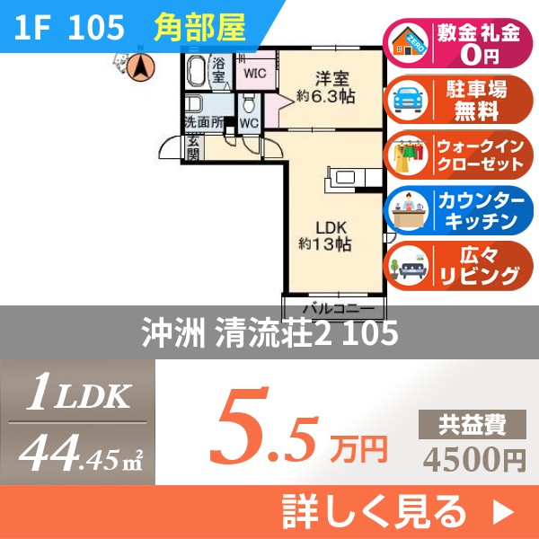 沖洲 清流荘2 105