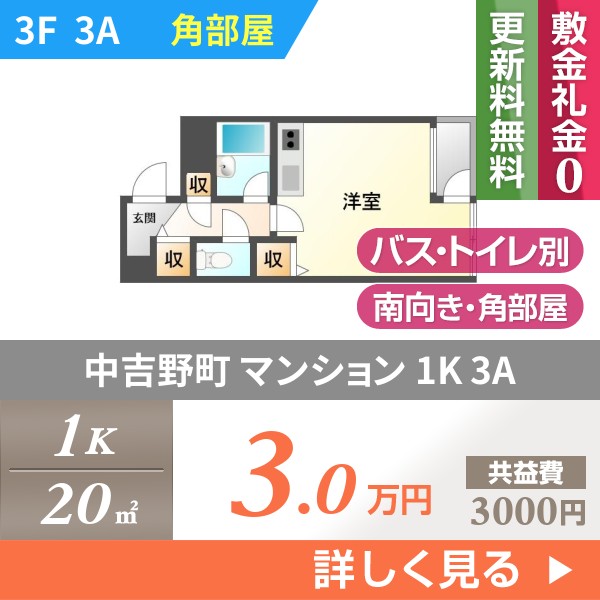 中吉野町 マンション 1K 3A