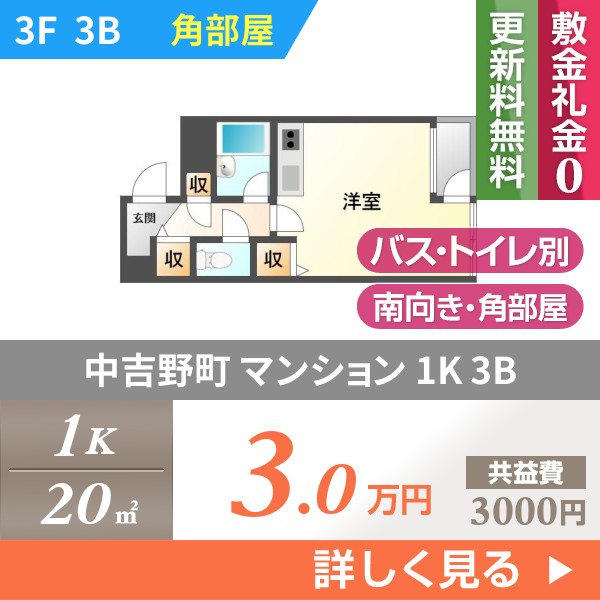 中吉野町 マンション 1K 3B