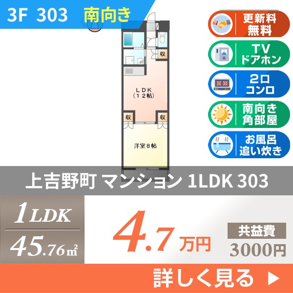 上吉野町 4階建マンション 1991年築 303