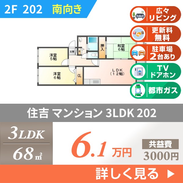 住吉 3階建マンション 1996年築 202
