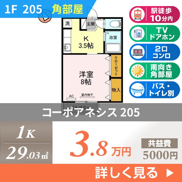 コーポアネシス 205