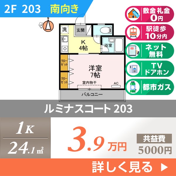ルミナスコート 203