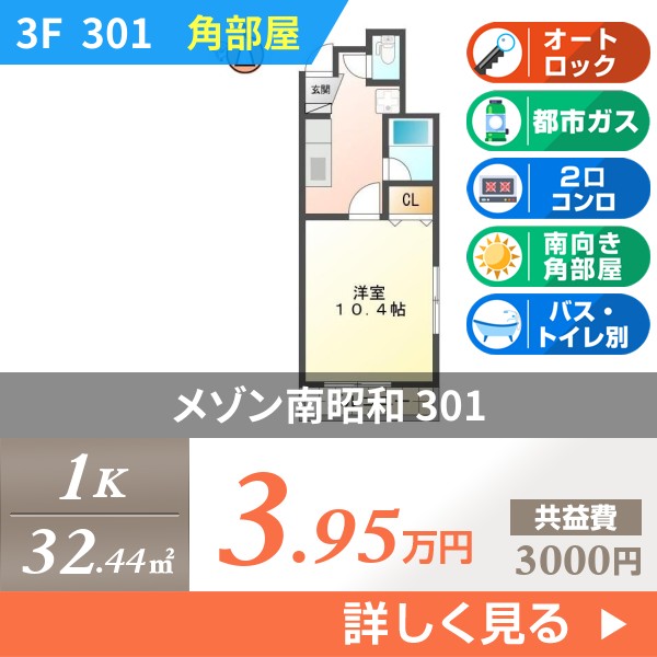 メゾン南昭和 301