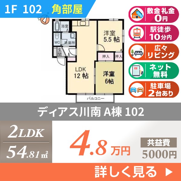 ディアス川南 A棟 102