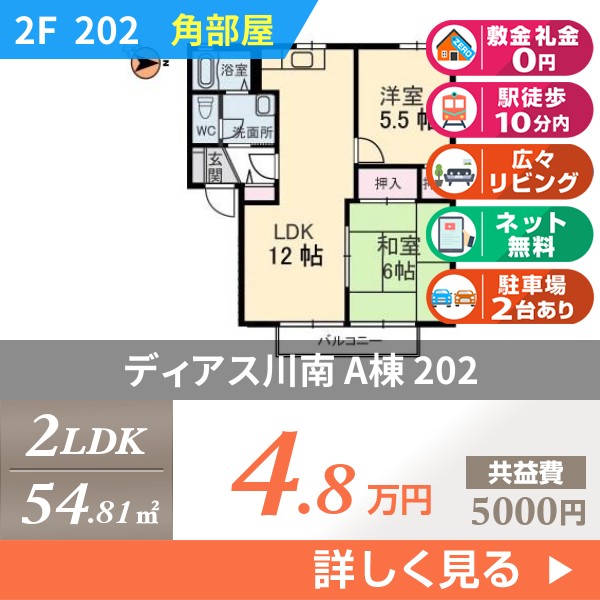 ディアス川南 A棟 202