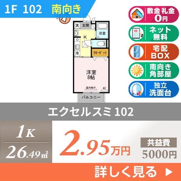 エクセルスミ 102