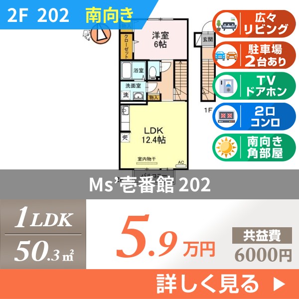 Ms壱番館 202
