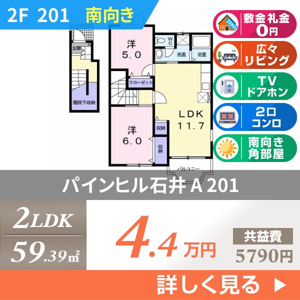 パインヒル石井 A 201
