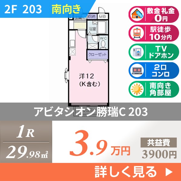 アビタシオン勝瑞C 203