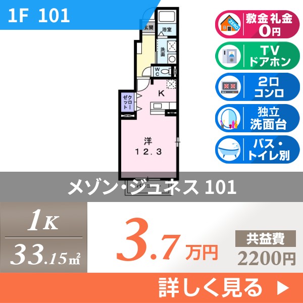 メゾン・ジュネス 101