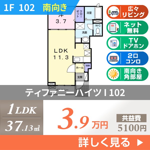 ティファニーハイツ I 102