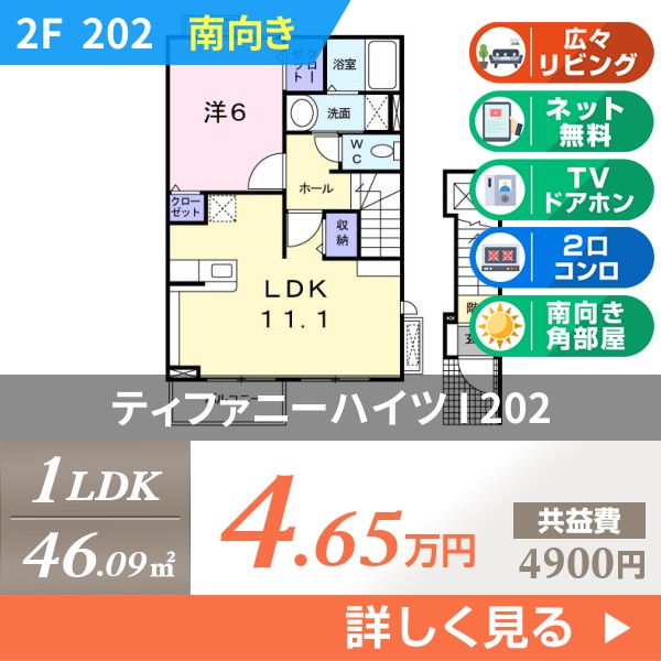 ティファニーハイツ I 202