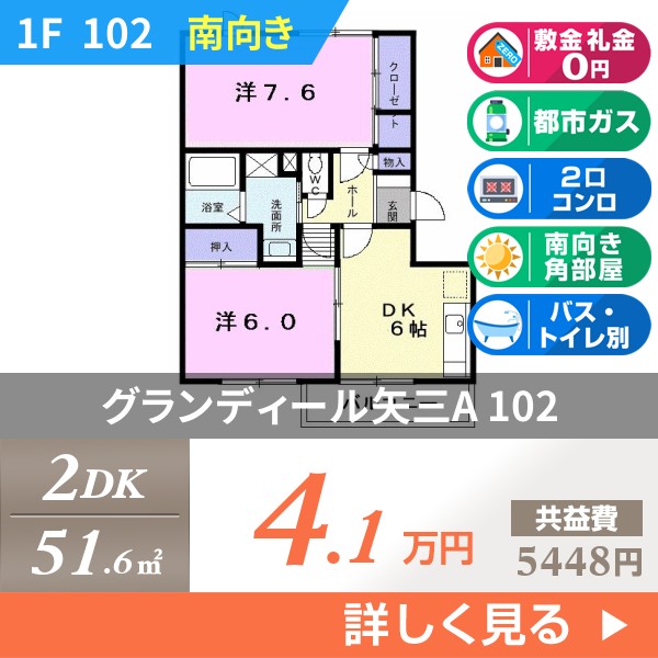 グランディール矢三A 102