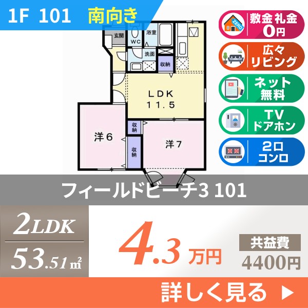 フィールドビーチ3 101