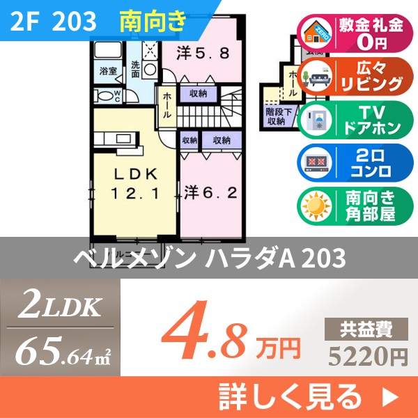 ベルメゾン ハラダA 203