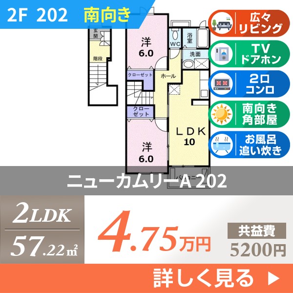 ニューカムリーA 202