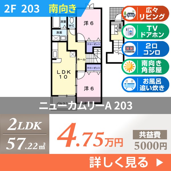 ニューカムリーA 203