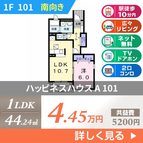 ハッピネスハウス A 101