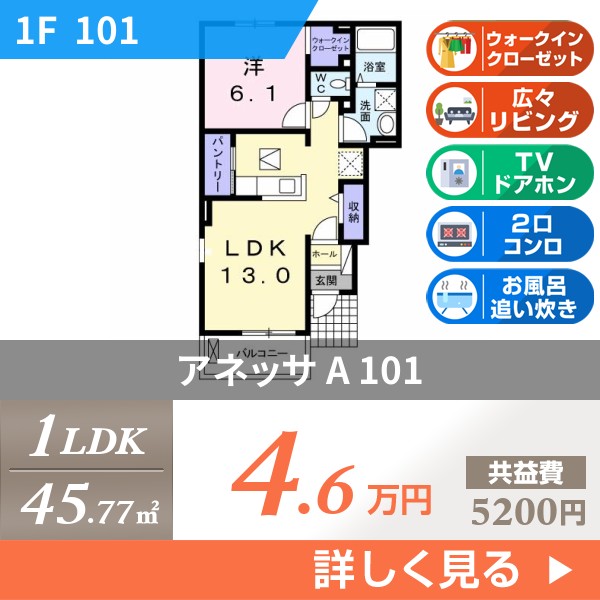 アネッサ A 101