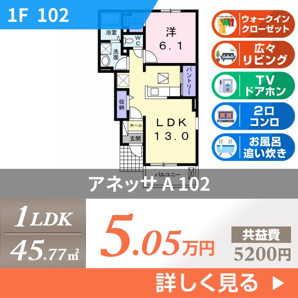 アネッサ A 102