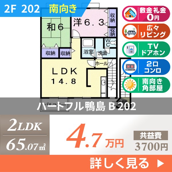 ハートフル鴨島 B 202